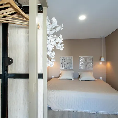 Apartamento Birds Oporto