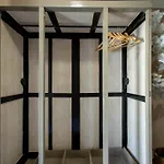 Birds By Wonderexperience Porto